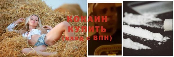 каннабис Осташков