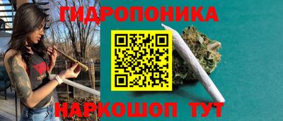 гидра Беслан