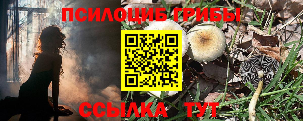 Галлюциногенные грибы Psilocybine cubensis  даркнет сайт  Удомля 
