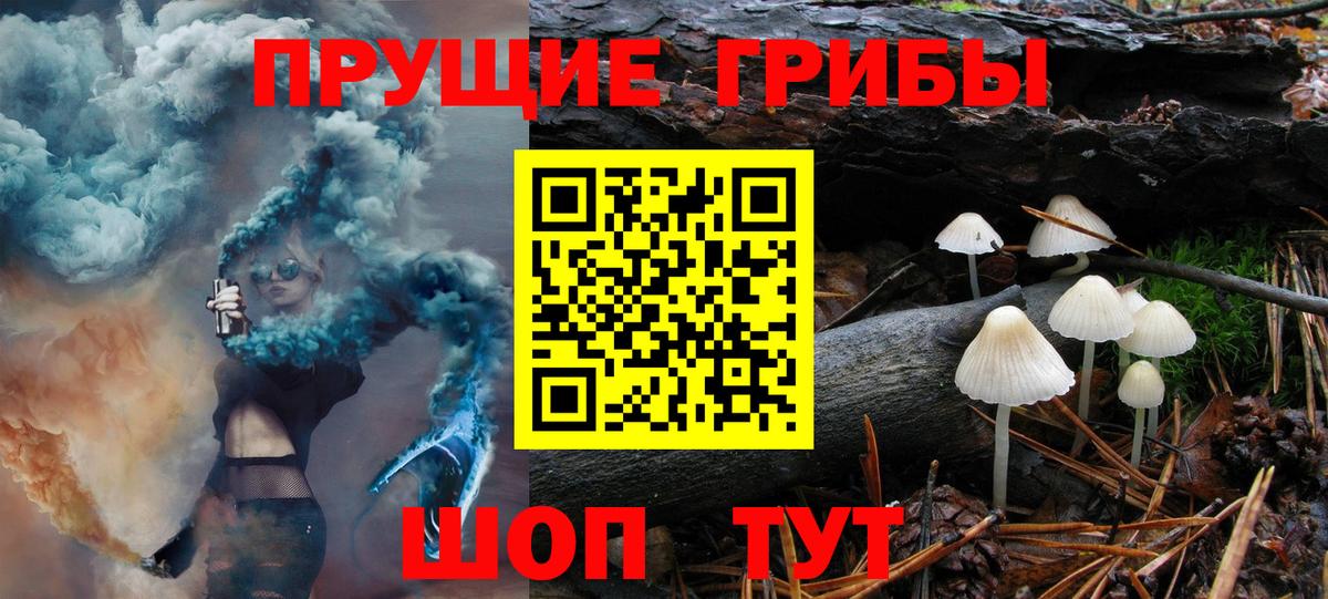 Псилоцибиновые грибы прущие грибы  Псилоцибиновые грибы мухоморы  Удомля  купить наркотики цена  Вход с VPN 
